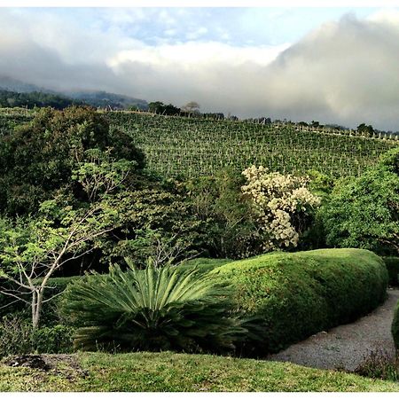 Апартаменты Coffee Garden Ranch Costa Rica Concepcion  Экстерьер фото