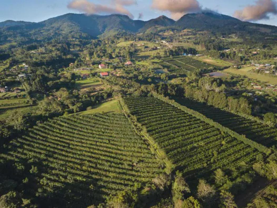 Апартаменты Coffee Garden Ranch Costa Rica Concepcion  Экстерьер фото