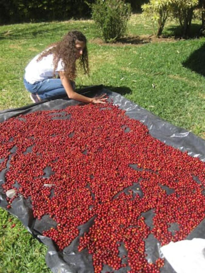 Апартаменты Coffee Garden Ranch Costa Rica Concepcion  Экстерьер фото