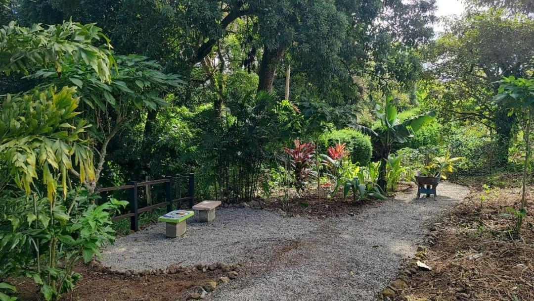 Апартаменты Coffee Garden Ranch Costa Rica Concepcion  Экстерьер фото